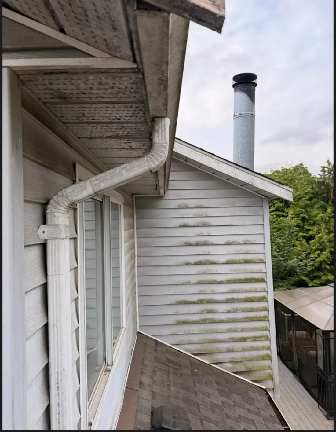 Siding and gutter streaked green with algae before a full house softwash