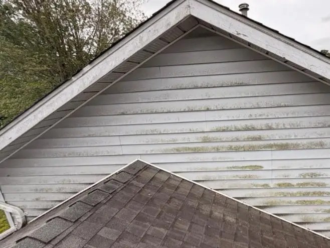 Gable-end siding above a roof line, dull with dirt and mildew