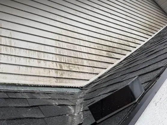 Siding and soffit above a roof with grime and dark streaks