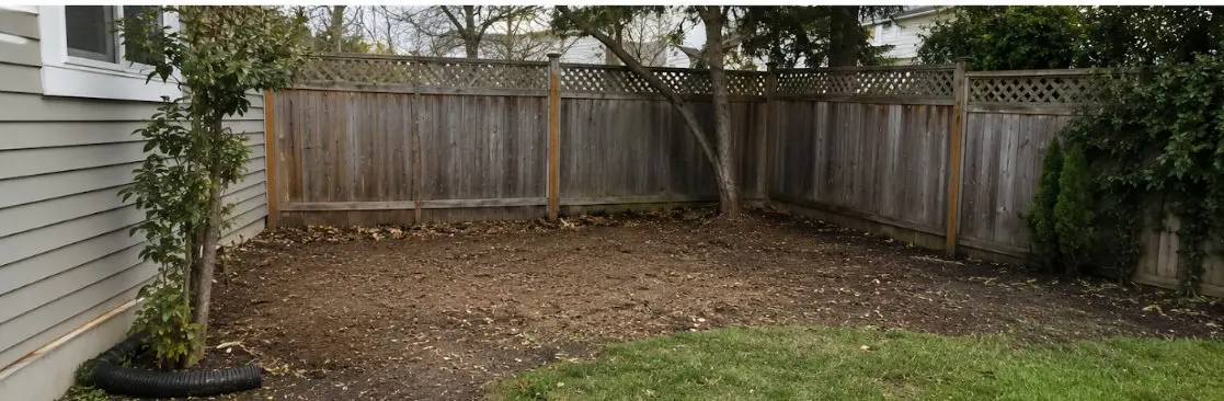 The same backyard corner cleared down to bare soil