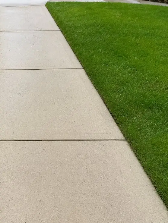 The same sidewalk clean and bright beside the lawn after powerwashing