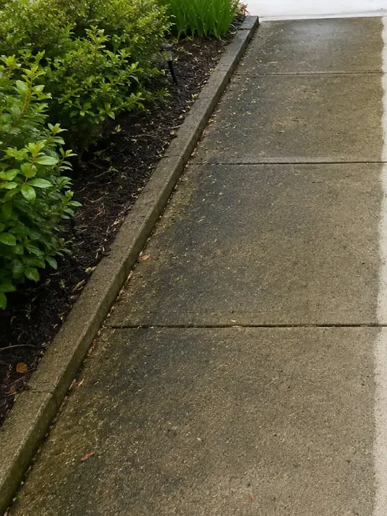 Dirty concrete sidewalk beside a lawn before powerwashing