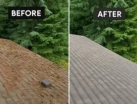 Before and after: a roof covered in orange-brown moss cleaned back to even grey shingles