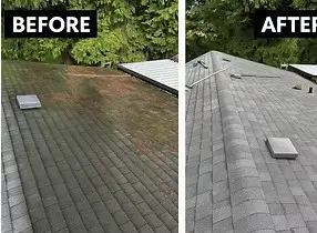 Before and after: a roof green with moss and algae cleaned to light grey shingles