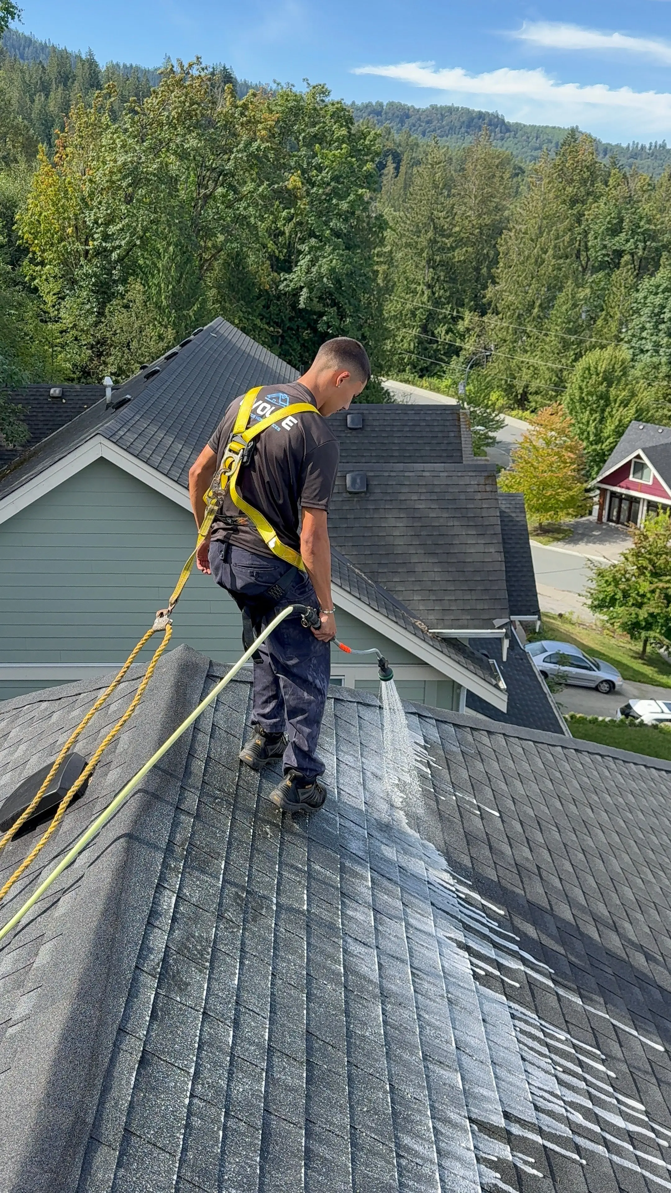 Harnessed Evolve crew member soft-washing a shingle roof above a neighbourhood, with forested hills behind