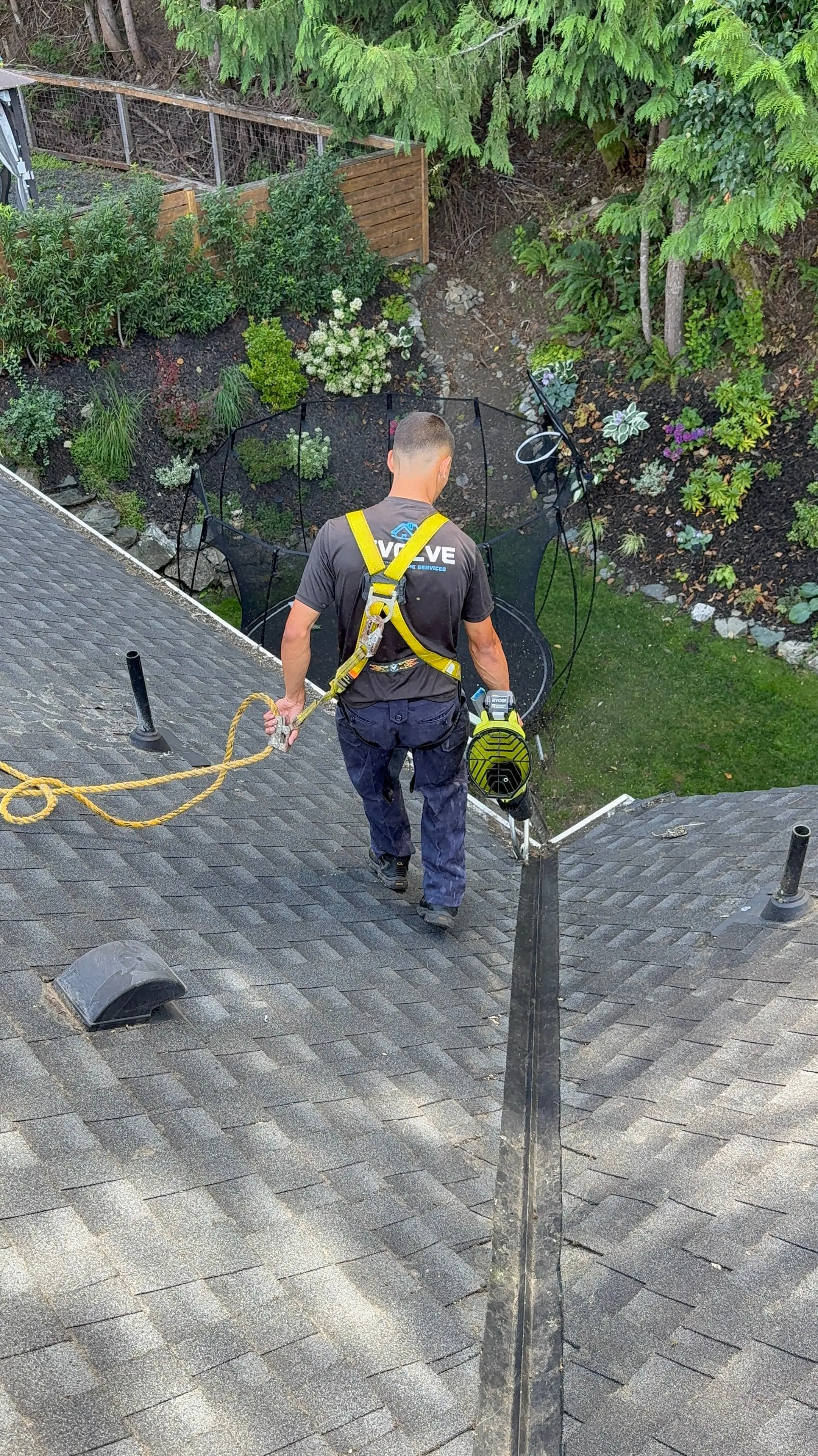 Harnessed Evolve crew member walking down a roof valley with a leaf blower to clear loose moss and debris