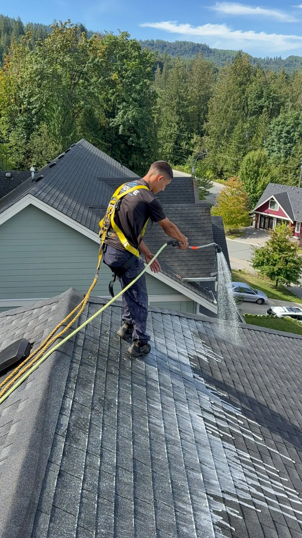 Evolve crew member in a safety harness soft-washing a shingle roof with evergreen trees behind