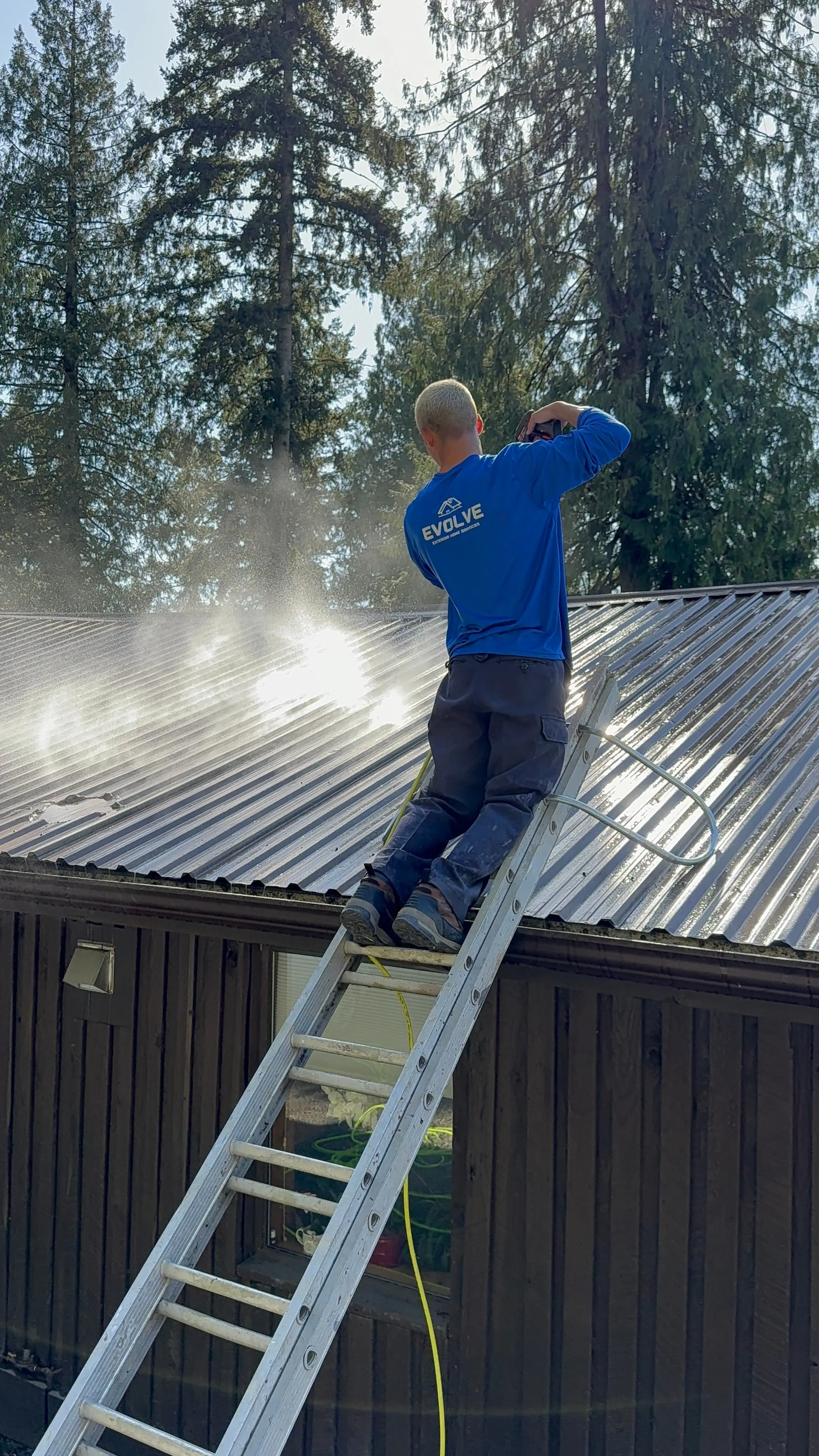 Evolve crew member on a ladder spraying soft-wash treatment across a metal roof under tall evergreens