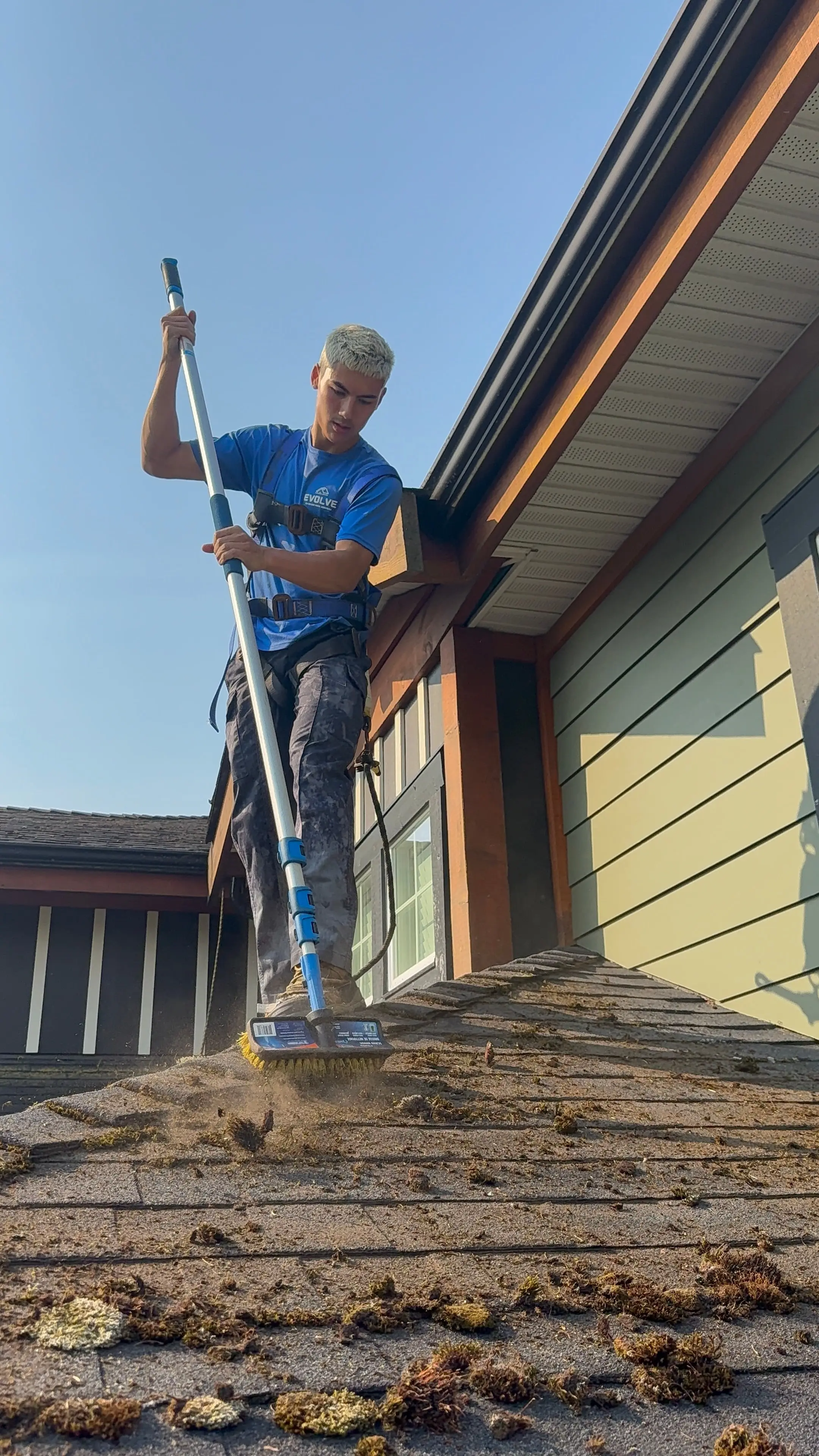 Evolve crew member brushing moss off a shingle roof before treatment
