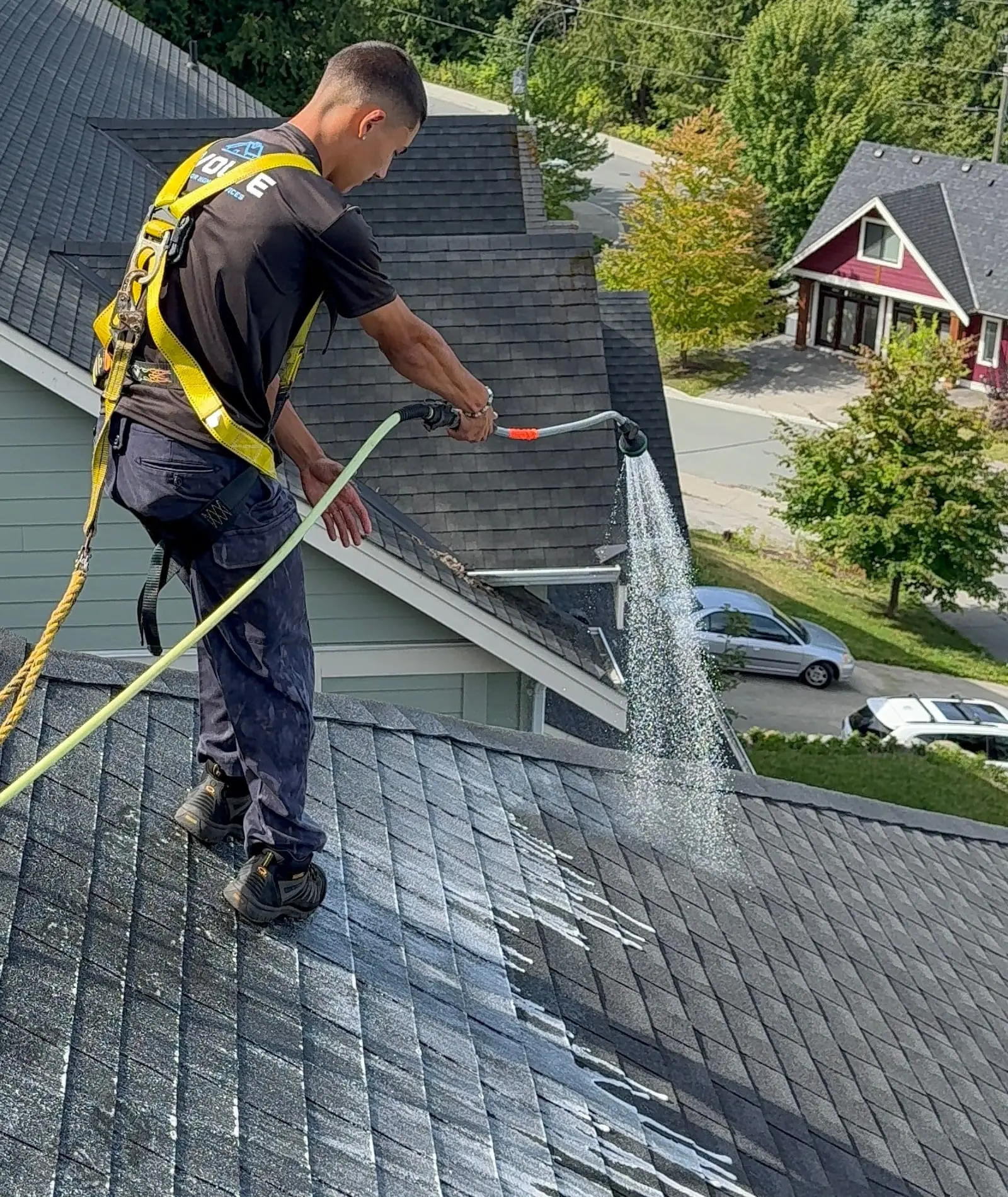Crew member spraying soft-wash treatment across dark asphalt shingles from a garden-hose wand